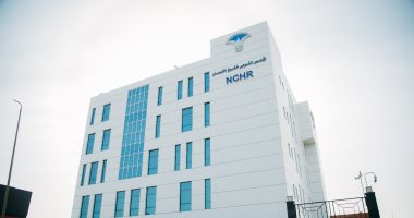 المستشار حازم بدوي: الوطنية للانتخابات ليست مسؤولة عن إدارة العملية الانتخابية فقط 2 المستشار حازم بدوي: الوطنية للانتخابات ليست مسؤولة عن إدارة العملية الانتخابية فقط