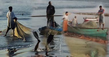 عقوبة الحبس وغرامة 100 ألف جنيه للتخلف عن تقديم بيانات الإنتاج السمكي 2 عقوبة الحبس وغرامة 100 ألف جنيه للتخلف عن تقديم بيانات الإنتاج السمكي