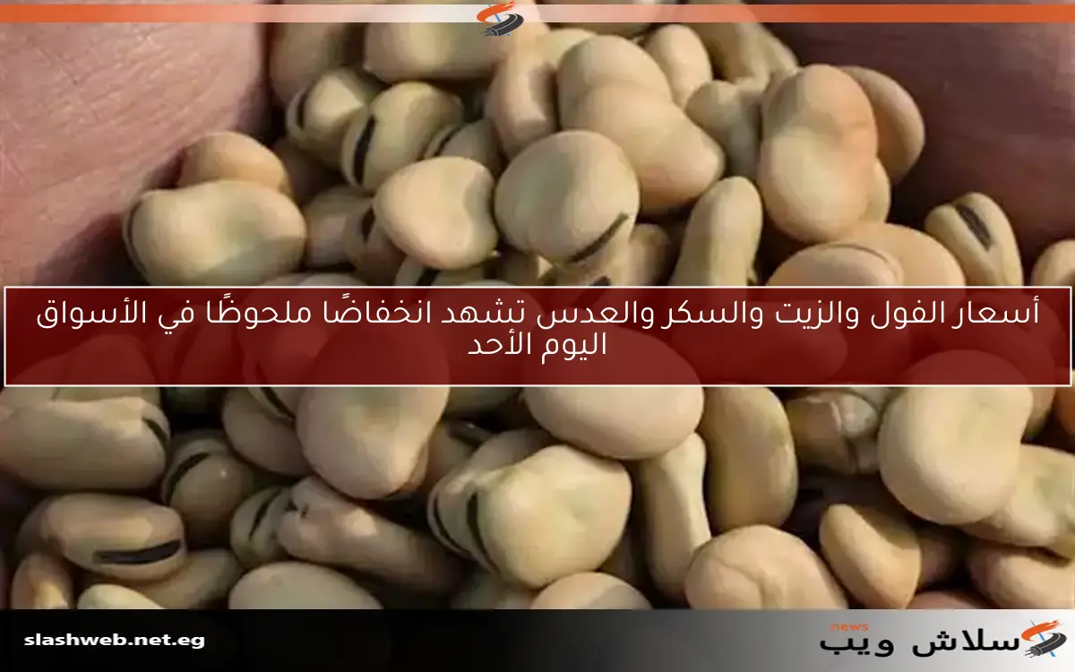 تراجع أسعار الفول والزيت في الأسواق اليوم 2 تراجع أسعار الفول والزيت في الأسواق اليوم