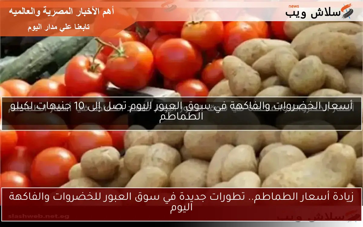 أسعار الخضروات والفاكهة في سوق العبور اليوم تشهد انخفاضًا في أسعار الطماطم 2 أسعار الخضروات والفاكهة في سوق العبور اليوم تشهد انخفاضًا في أسعار الطماطم