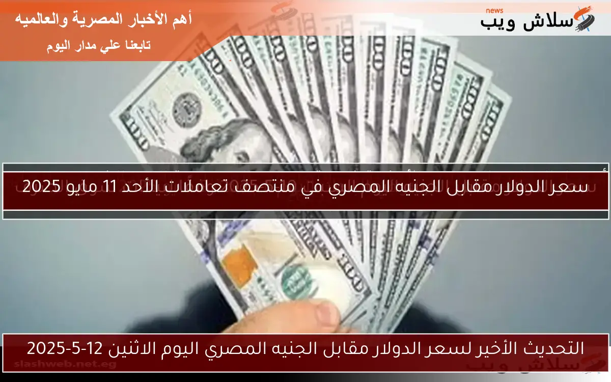 استقرار سعر الدولار أمام الجنيه في البنوك المصرية 2 استقرار سعر الدولار أمام الجنيه في البنوك المصرية