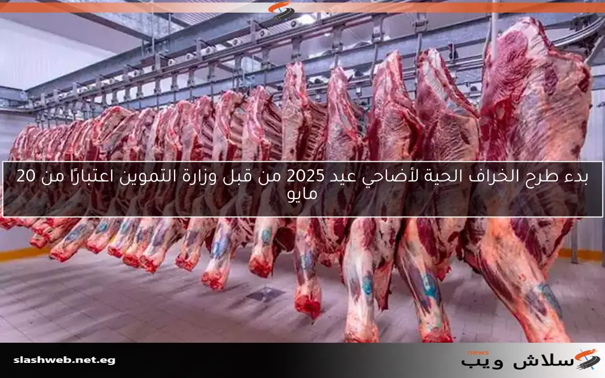 زيادة أسعار اللحوم والدواجن وانخفاض أسعار العدس اليوم الجمعة في الأسواق 2 زيادة أسعار اللحوم والدواجن وانخفاض أسعار العدس اليوم الجمعة في الأسواق