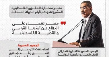 ضياء رشوان: مصر تبرز جهودها لحماية أمنها القومي ودعم القضية الفلسطينية.. إنفوجراف 2 ضياء رشوان: مصر تبرز جهودها لحماية أمنها القومي ودعم القضية الفلسطينية.. إنفوجراف