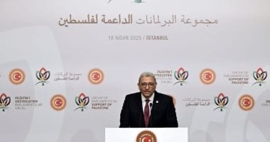 وكيل مجلس النواب: نرفض التهجير في أول اجتماع للبرلمانات الداعمة لفلسطين 2 وكيل مجلس النواب: نرفض التهجير في أول اجتماع للبرلمانات الداعمة لفلسطين