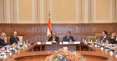وزير الخارجية: تقرير مصر أمام مجلس حقوق الإنسان لاقى إعجاباً كبيراً 2 وزير الخارجية: تقرير مصر أمام مجلس حقوق الإنسان لاقى إعجاباً كبيراً