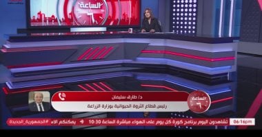 رئيس الثروة الحيوانية: انخفاض سعر العلف بنسبة 40% ونتوقع تراجعاً بنسبة 10% في أسعار اللحوم 2 رئيس الثروة الحيوانية: انخفاض سعر العلف بنسبة 40% ونتوقع تراجعاً بنسبة 10% في أسعار اللحوم