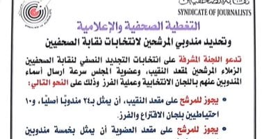 لجنة انتخابات الصحفيين تضع قواعد التغطية الإعلامية 2 لجنة انتخابات الصحفيين تضع قواعد التغطية الإعلامية