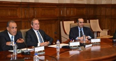 وزير الخارجية: المجتمع الدولي يعترف بإنجازات مصر في حقوق الإنسان 2 وزير الخارجية: المجتمع الدولي يعترف بإنجازات مصر في حقوق الإنسان