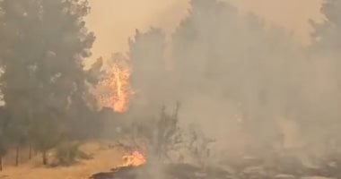إسرائيل تشهد حرائق.. النيران تندلع في بيت شميش والمستوطنات نتيجة ارتفاع درجات الحرارة.. فيديو 2 إسرائيل تشهد حرائق.. النيران تندلع في بيت شميش والمستوطنات نتيجة ارتفاع درجات الحرارة.. فيديو