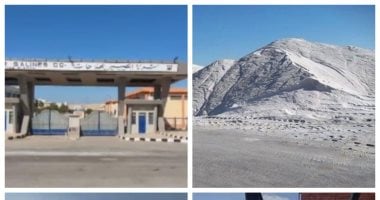 شركات وزارة قطاع الأعمال العام تواصل دعم مشاريع التنمية في أرض الفيروز 2 شركات وزارة قطاع الأعمال العام تواصل دعم مشاريع التنمية في أرض الفيروز