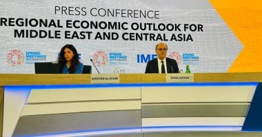 صندوق النقد: توقعات بنمو اقتصاد مصر إلى 4.3% وانخفاض التضخم إلى 12% 2 صندوق النقد: توقعات بنمو اقتصاد مصر إلى 4.3% وانخفاض التضخم إلى 12%