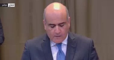 مندوب مصر في محكمة العدل: إسرائيل تمنع الشعب الفلسطيني من حقه في تقرير المصير 2 مندوب مصر في محكمة العدل: إسرائيل تمنع الشعب الفلسطيني من حقه في تقرير المصير
