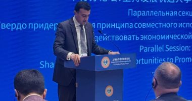 طارق الخولى نائب التنسيقية يشارك في المنتدى الحزبي لمنظمة شنغهاي للتعاون في الصين 2 طارق الخولى نائب التنسيقية يشارك في المنتدى الحزبي لمنظمة شنغهاي للتعاون في الصين