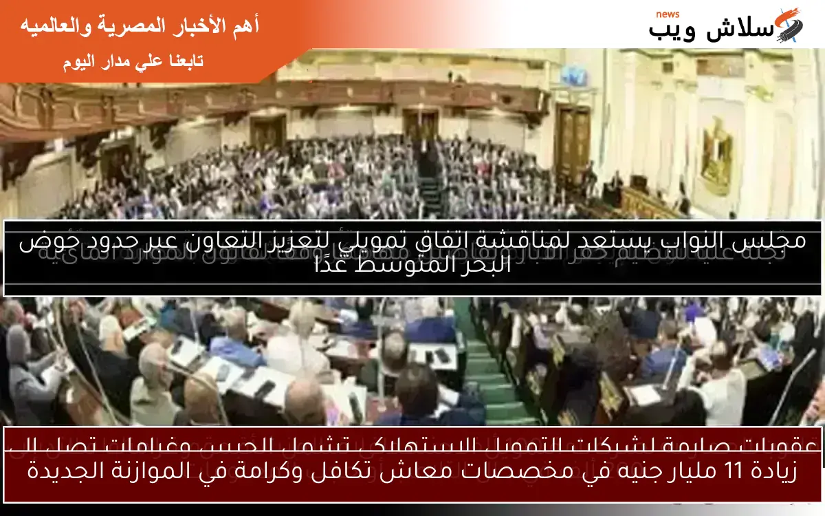 نائبة تبرز أهمية تأكيدات الرئيس السيسي بشأن تطوير التعليم وتحسين كفاءة المعلمين