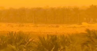 عواصف رملية تؤثر على واحة سيوة والصحراء الغربية مع تراجع في مستوى الرؤية.. صور 2 عواصف رملية تؤثر على واحة سيوة والصحراء الغربية مع تراجع في مستوى الرؤية.. صور