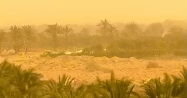 المنخفض الخماسيني يضرب البلاد ويؤثر على الرؤية في المحافظات.. تحذيرات من الأرصاد 2 المنخفض الخماسيني يضرب البلاد ويؤثر على الرؤية في المحافظات.. تحذيرات من الأرصاد