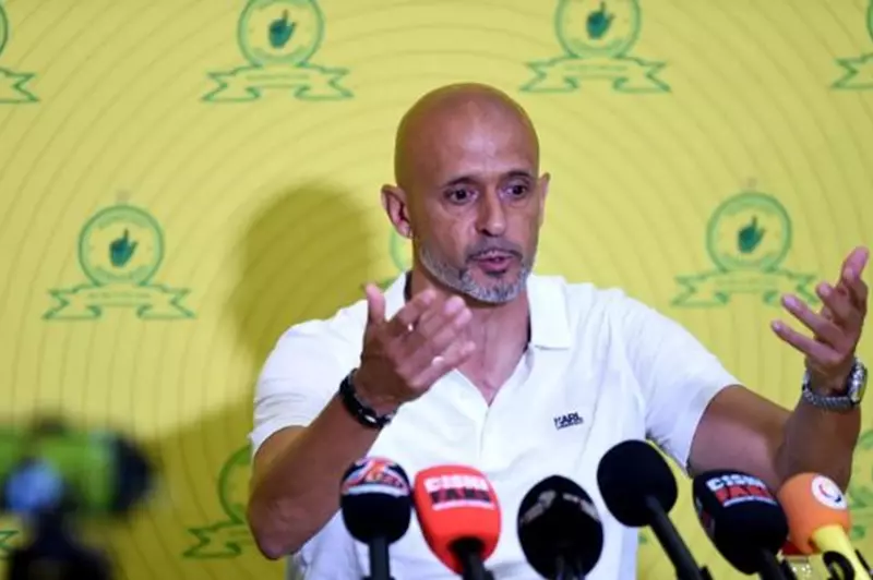مدرب صنداونز: نتوقع 90 ألف مشجع في ستاد القاهرة ويجب أن تتعلم جماهيرنا 2 مدرب صنداونز: نتوقع 90 ألف مشجع في ستاد القاهرة ويجب أن تتعلم جماهيرنا