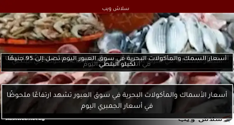 أسعار الأسماك والمأكولات البحرية في سوق العبور تشهد انخفاضًا ملحوظًا في أسعار البلطي اليوم 2 أسعار الأسماك والمأكولات البحرية في سوق العبور تشهد انخفاضًا ملحوظًا في أسعار البلطي اليوم