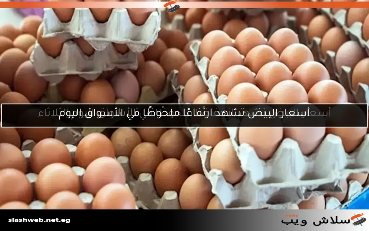 أسعار البيض في الأسواق اليوم الثلاثاء 2 أسعار البيض في الأسواق اليوم الثلاثاء