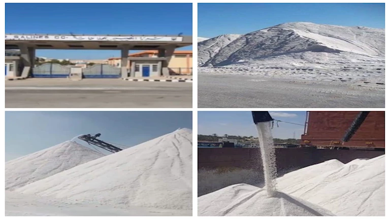 شركات قطاع الأعمال تدعم مشروعات التنمية في سيناء بمناسبة عيد التحرير 2 شركات قطاع الأعمال تدعم مشروعات التنمية في سيناء بمناسبة عيد التحرير