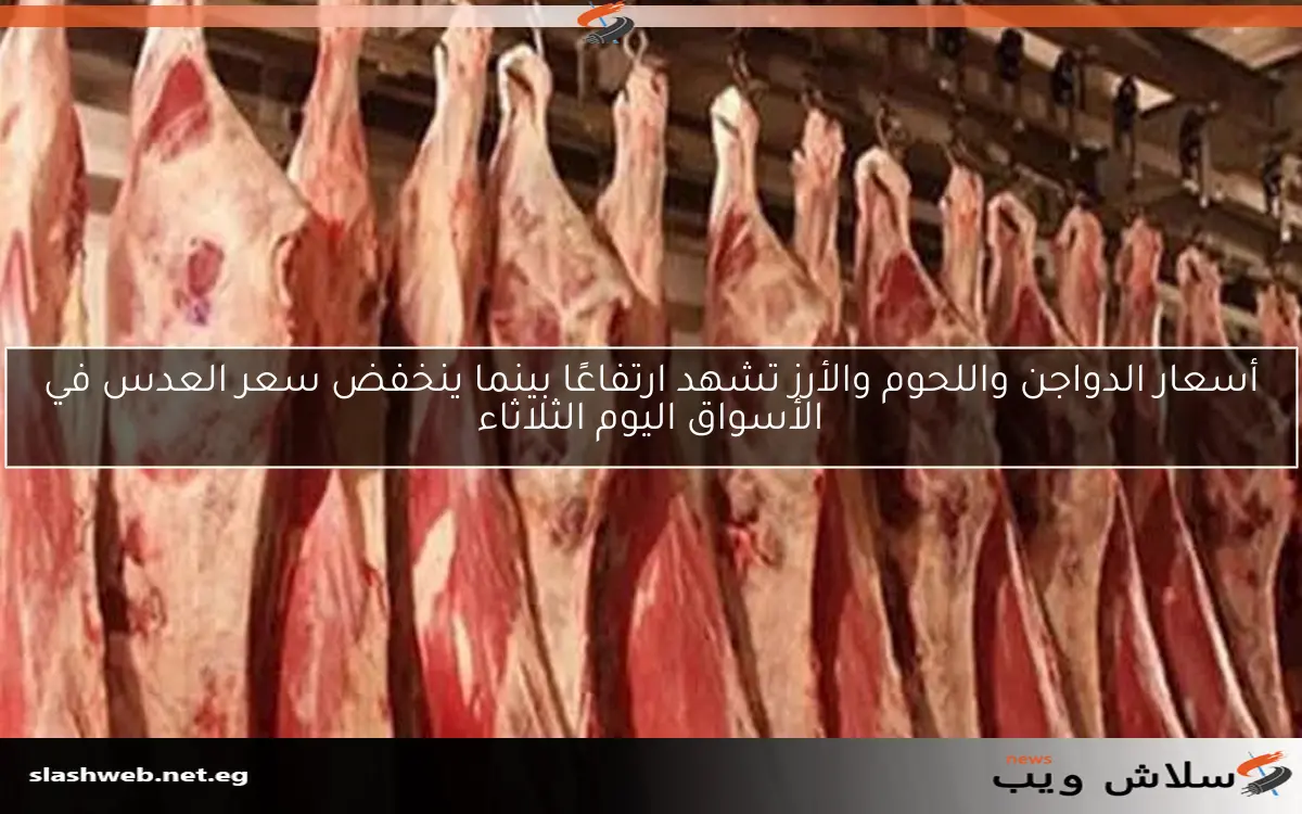 تراجع أسعار الدواجن واللحوم في الأسواق اليوم 2 تراجع أسعار الدواجن واللحوم في الأسواق اليوم