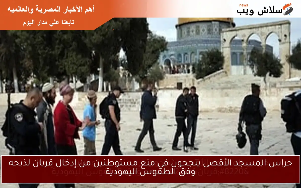 حراس المسجد الأقصى ينجحون في منع مستوطنين من إدخال قربان لذبحه وفق الطقوس اليهودية 2 حراس المسجد الأقصى ينجحون في منع مستوطنين من إدخال قربان لذبحه وفق الطقوس اليهودية