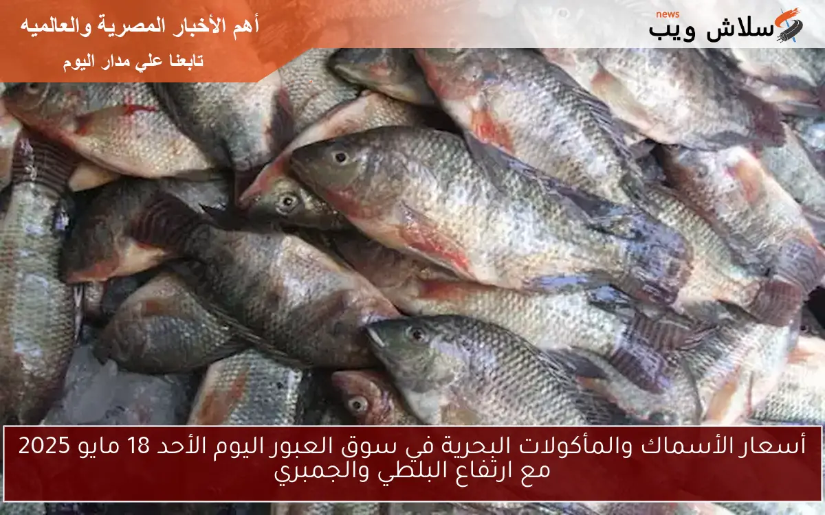 أسعار الأسماك والمأكولات البحرية في سوق العبور اليوم الأحد 18 مايو 2025 مع ارتفاع البلطي والجمبري