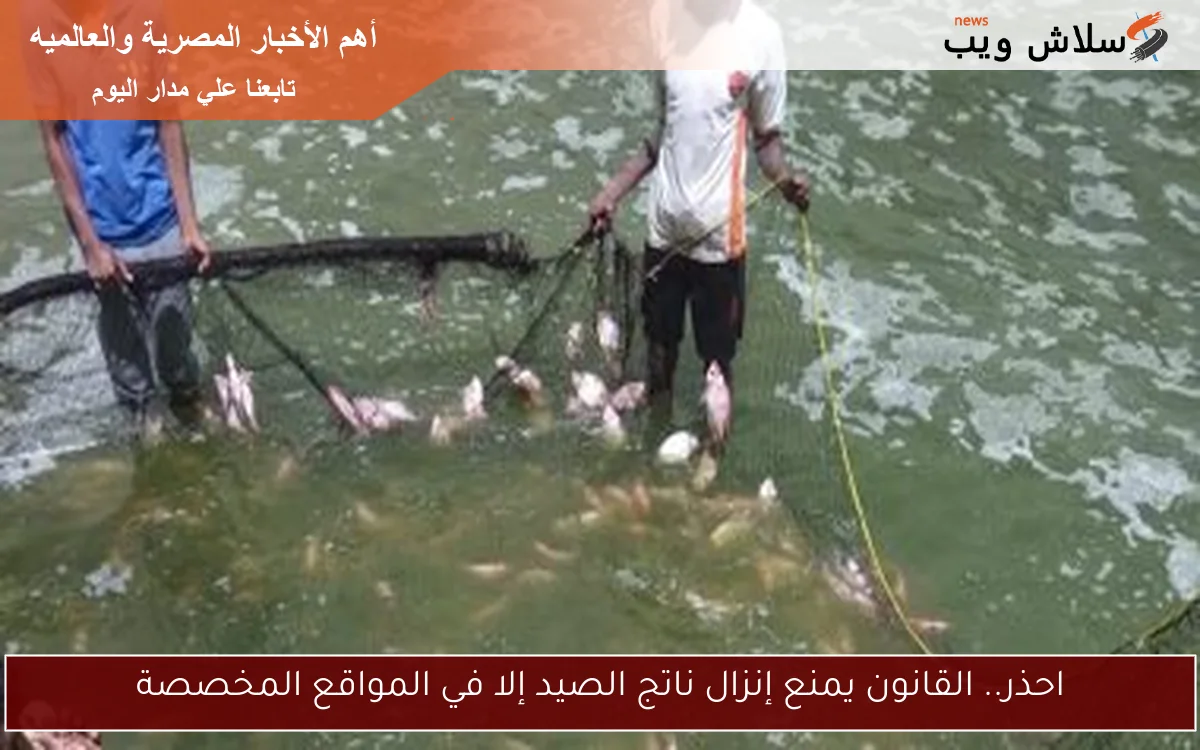 احذر.. القانون يمنع إنزال ناتج الصيد إلا في المواقع المخصصة 2 احذر.. القانون يمنع إنزال ناتج الصيد إلا في المواقع المخصصة