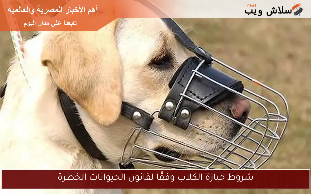 شروط حيازة الكلاب وفقًا لقانون الحيوانات الخطرة