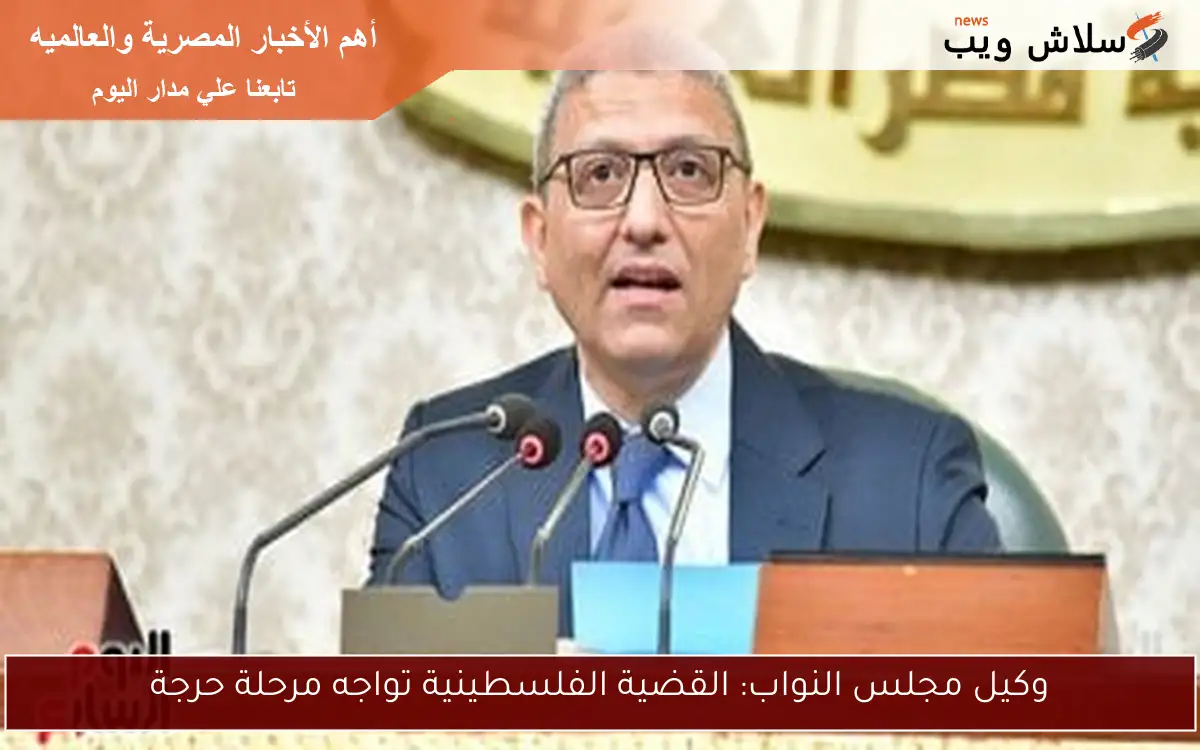وكيل مجلس النواب: القضية الفلسطينية تواجه مرحلة حرجة 2 وكيل مجلس النواب: القضية الفلسطينية تواجه مرحلة حرجة