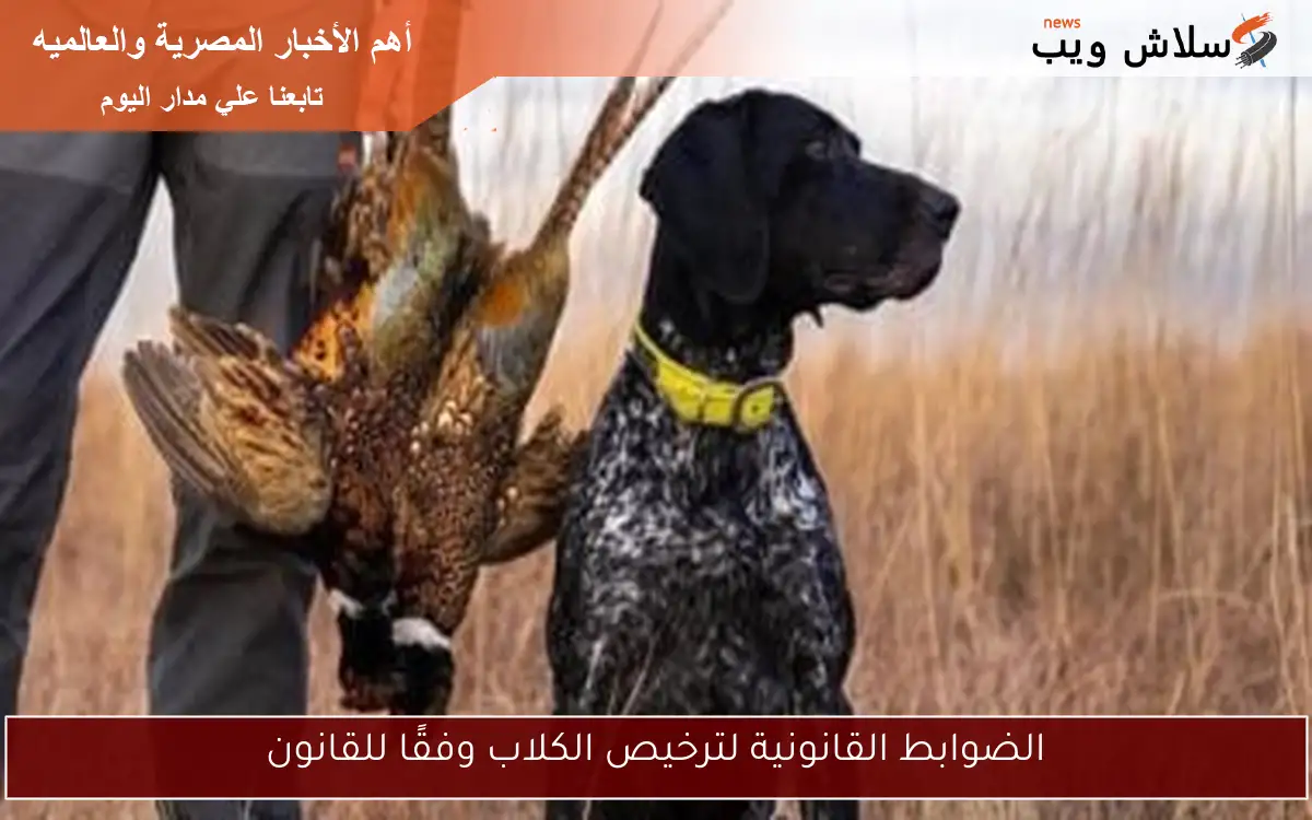 الضوابط القانونية لترخيص الكلاب وفقًا للقانون