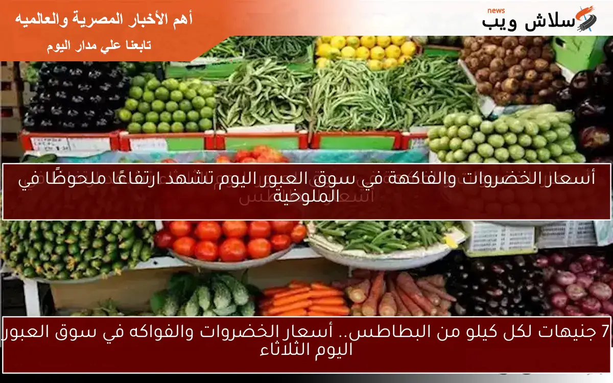 7 جنيهات لكل كيلو من البطاطس.. أسعار الخضروات والفواكه في سوق العبور اليوم الثلاثاء