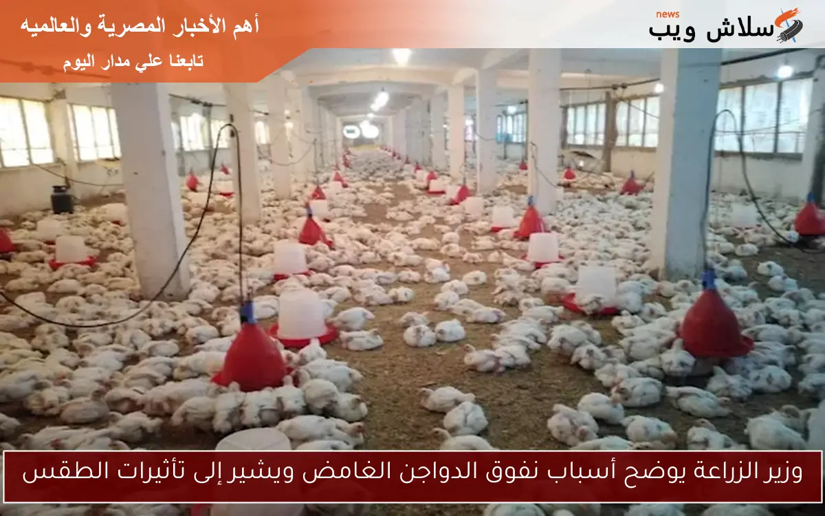 وزير الزراعة يوضح أسباب نفوق الدواجن الغامض ويشير إلى تأثيرات الطقس