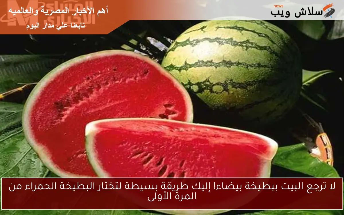 لا ترجع البيت ببطيخة بيضاء! إليك طريقة بسيطة لتختار البطيخة الحمراء من المرة الأولى 2 لا ترجع البيت ببطيخة بيضاء! إليك طريقة بسيطة لتختار البطيخة الحمراء من المرة الأولى
