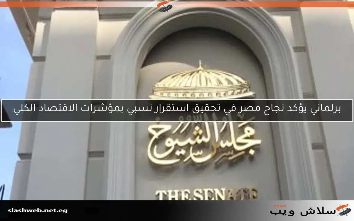 برلماني يؤكد نجاح مصر في تحقيق استقرار نسبي بمؤشرات الاقتصاد الكلي 2 برلماني يؤكد نجاح مصر في تحقيق استقرار نسبي بمؤشرات الاقتصاد الكلي