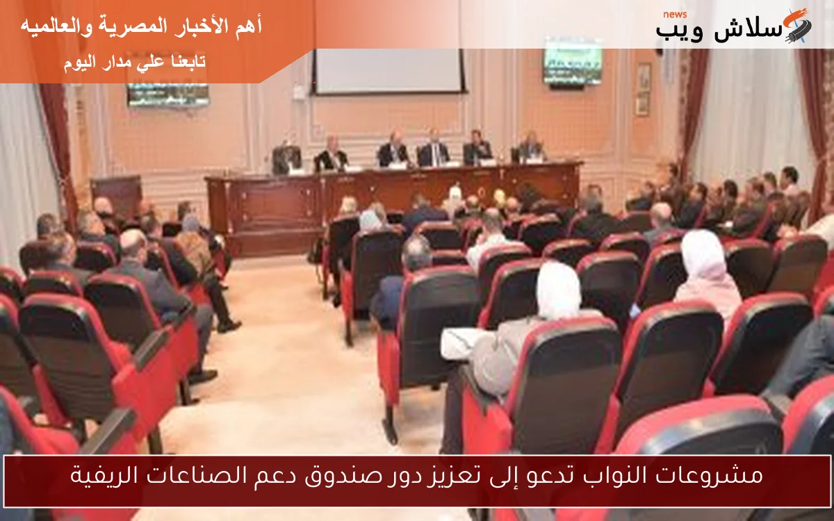 مشروعات النواب تدعو إلى تعزيز دور صندوق دعم الصناعات الريفية