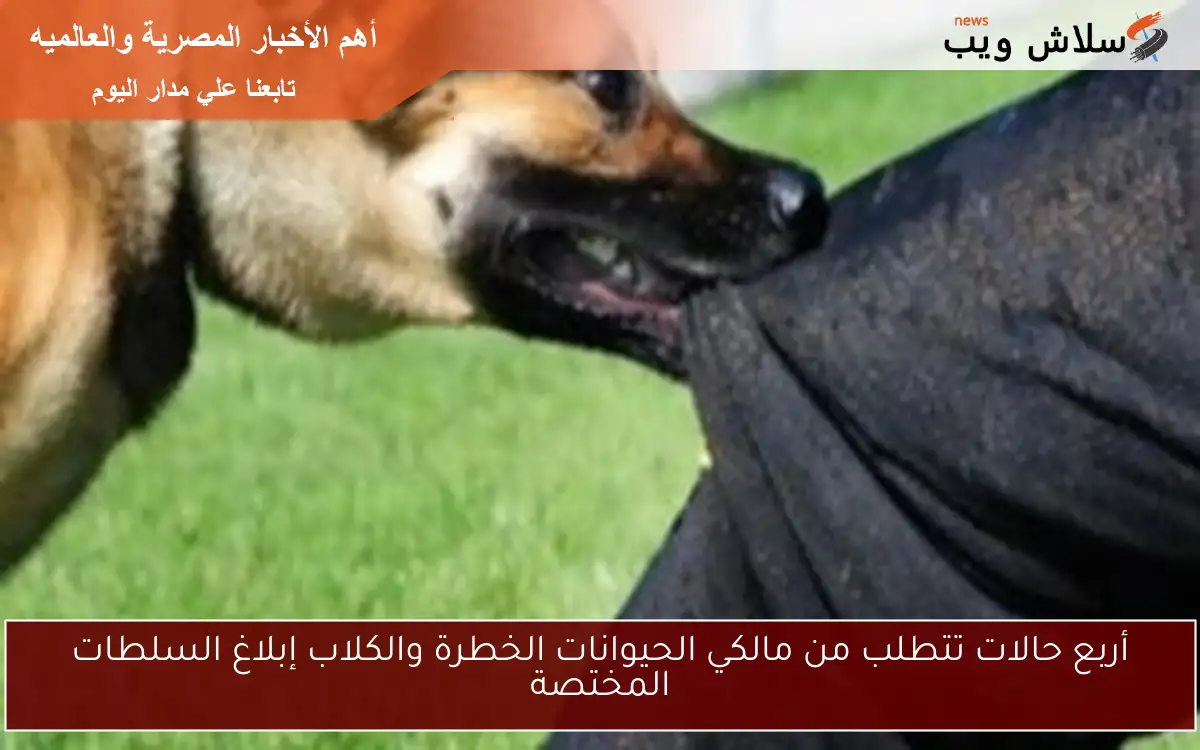 أربع حالات تتطلب من مالكي الحيوانات الخطرة والكلاب إبلاغ السلطات المختصة