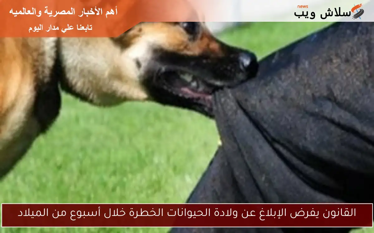 القانون يفرض الإبلاغ عن ولادة الحيوانات الخطرة خلال أسبوع من الميلاد
