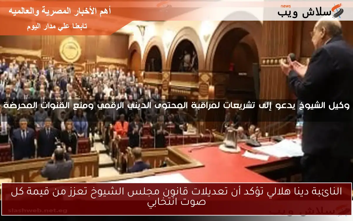 النائبة دينا هلالي تؤكد أن تعديلات قانون مجلس الشيوخ تعزز من قيمة كل صوت انتخابي