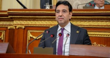 أيمن محسب: انخفاض البطالة يدل على نجاح الدولة في بناء اقتصاد إنتاجي 2 أيمن محسب: انخفاض البطالة يدل على نجاح الدولة في بناء اقتصاد إنتاجي