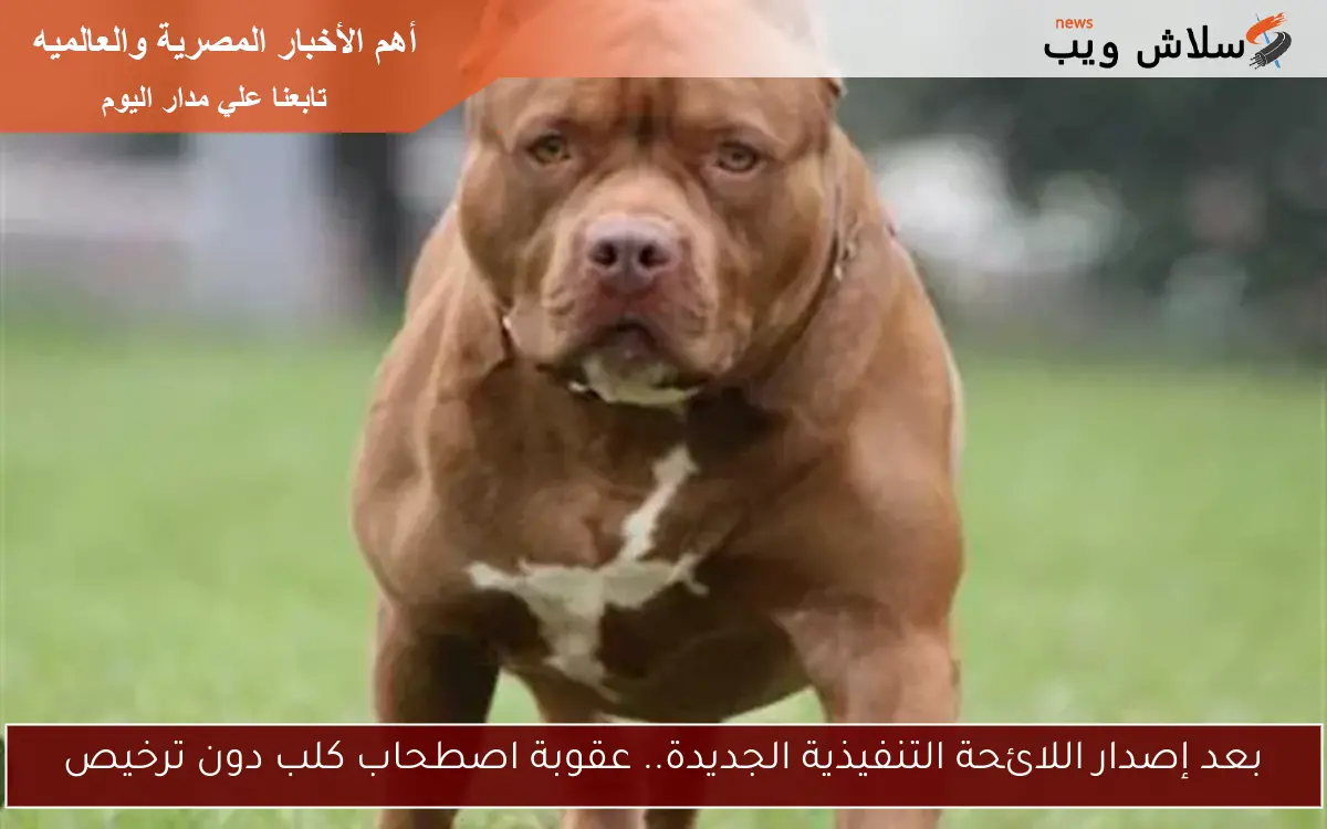 بعد إصدار اللائحة التنفيذية الجديدة.. عقوبة اصطحاب كلب دون ترخيص