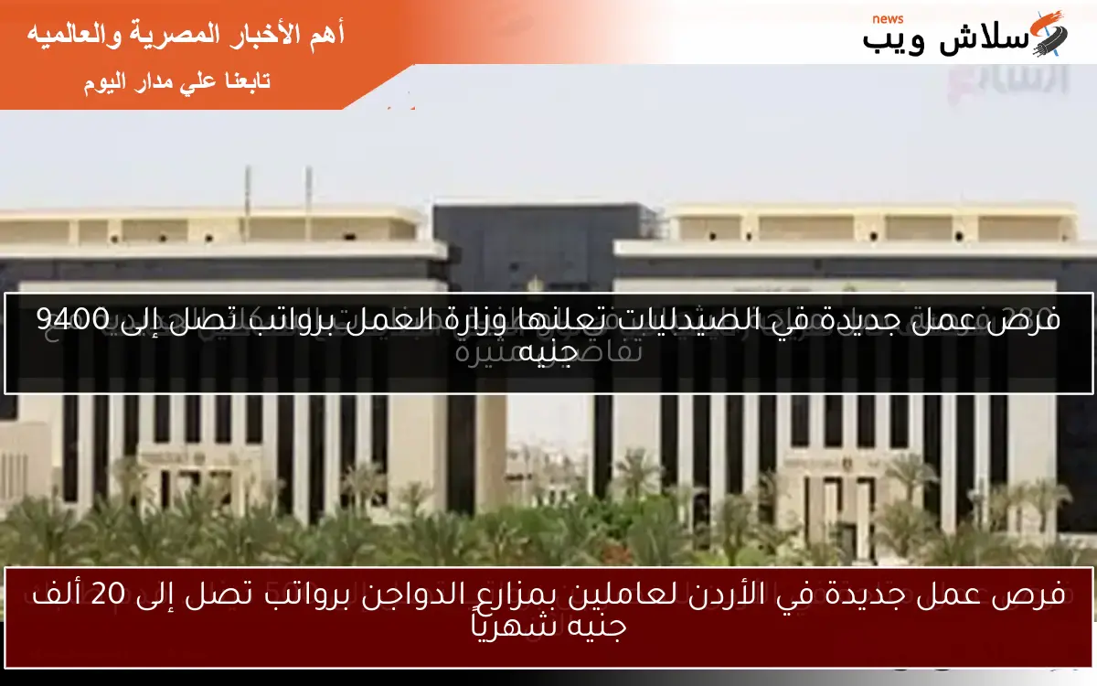 فرص عمل جديدة في الأردن لعاملين بمزارع الدواجن برواتب تصل إلى 20 ألف جنيه شهرياً