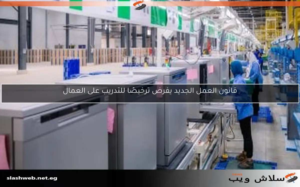 قانون العمل الجديد يفرض ترخيصًا للتدريب على العمال 2 قانون العمل الجديد يفرض ترخيصًا للتدريب على العمال