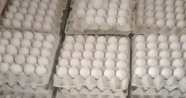 طرح بيض المائدة للمواطنين بسعر 115 جنيها للطبق في إطار الإصلاح الزراعي 2 طرح بيض المائدة للمواطنين بسعر 115 جنيها للطبق في إطار الإصلاح الزراعي