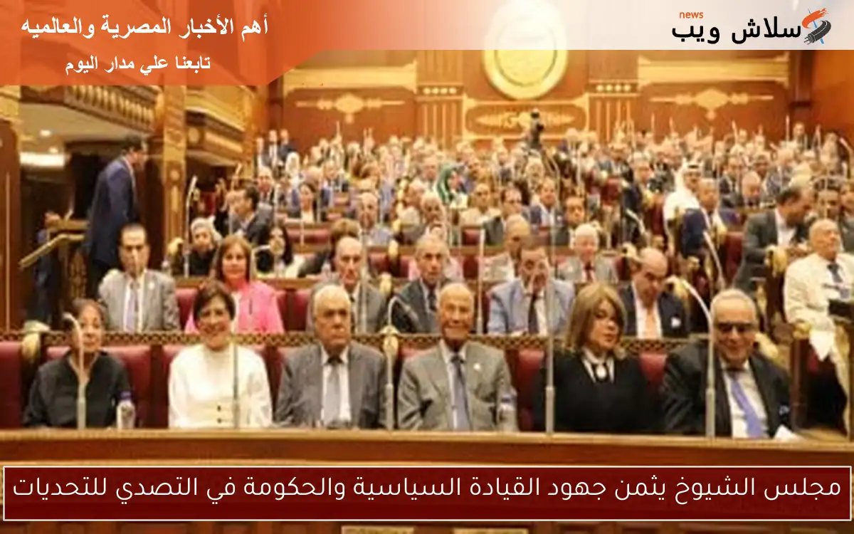 مجلس الشيوخ يثمن جهود القيادة السياسية والحكومة في التصدي للتحديات
