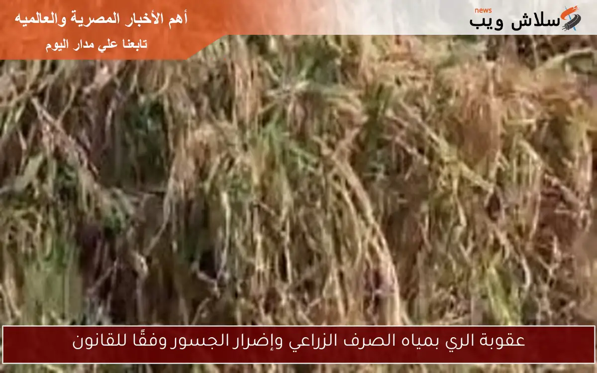 عقوبة الري بمياه الصرف الزراعي وإضرار الجسور وفقًا للقانون