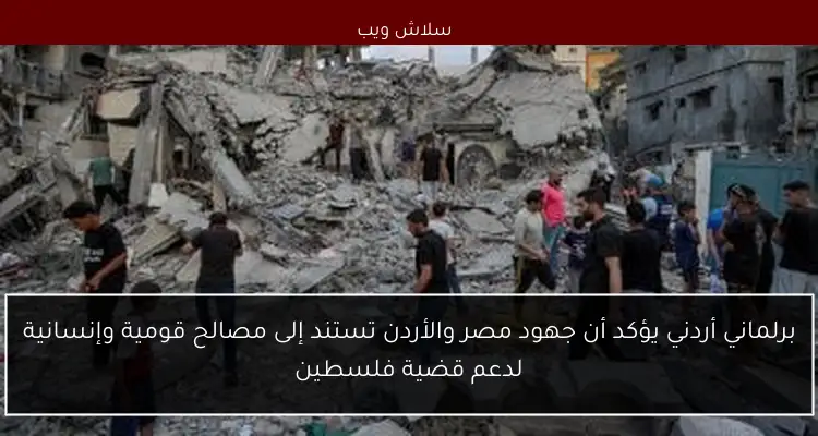 برلماني أردني يؤكد أن جهود مصر والأردن تستند إلى مصالح قومية وإنسانية لدعم قضية فلسطين 2 برلماني أردني يؤكد أن جهود مصر والأردن تستند إلى مصالح قومية وإنسانية لدعم قضية فلسطين