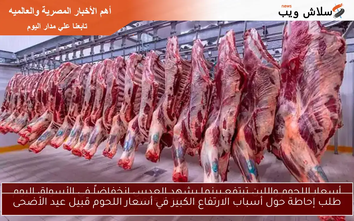 طلب إحاطة حول أسباب الارتفاع الكبير في أسعار اللحوم قبيل عيد الأضحى 2 طلب إحاطة حول أسباب الارتفاع الكبير في أسعار اللحوم قبيل عيد الأضحى