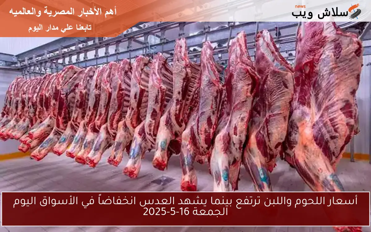أسعار اللحوم واللبن ترتفع بينما يشهد العدس انخفاضاً في الأسواق اليوم الجمعة 16-5-2025