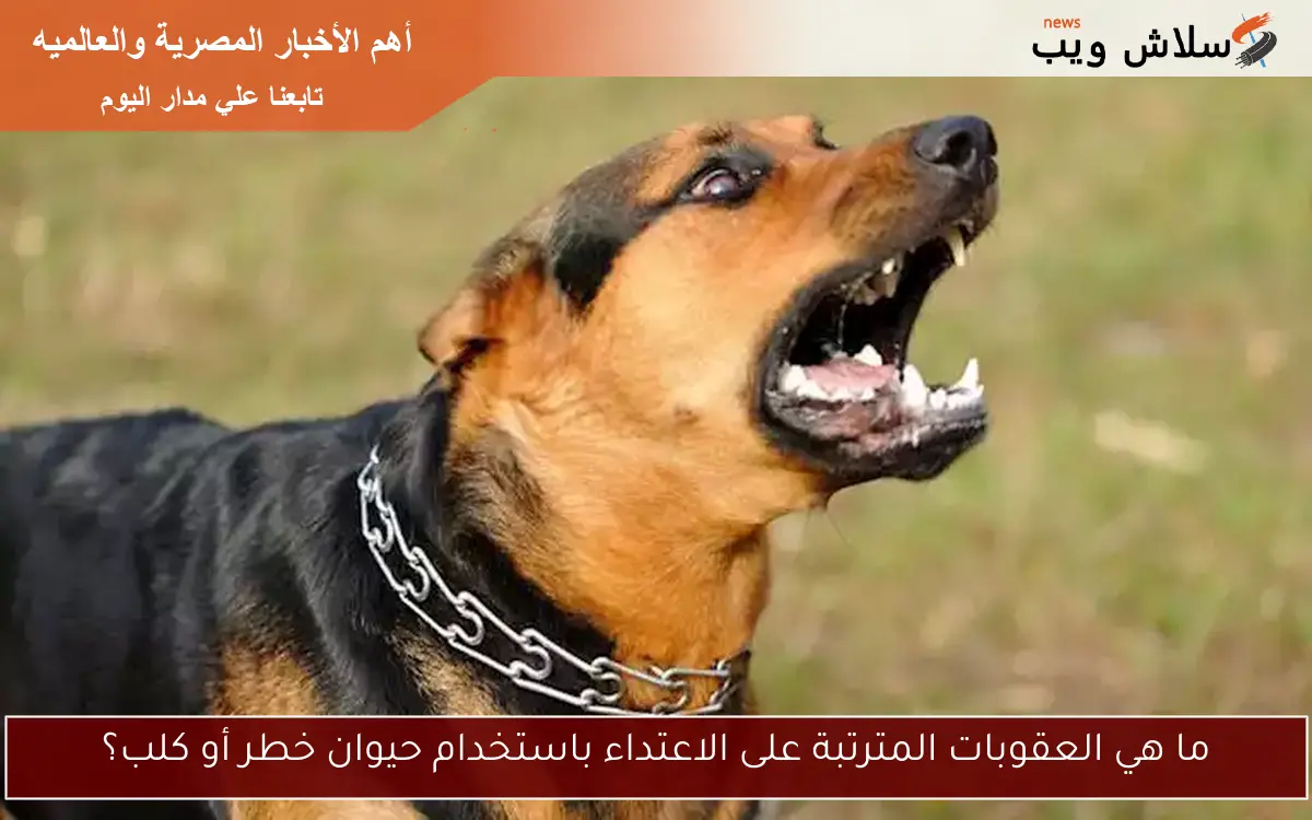 ما هي العقوبات المترتبة على الاعتداء باستخدام حيوان خطر أو كلب؟